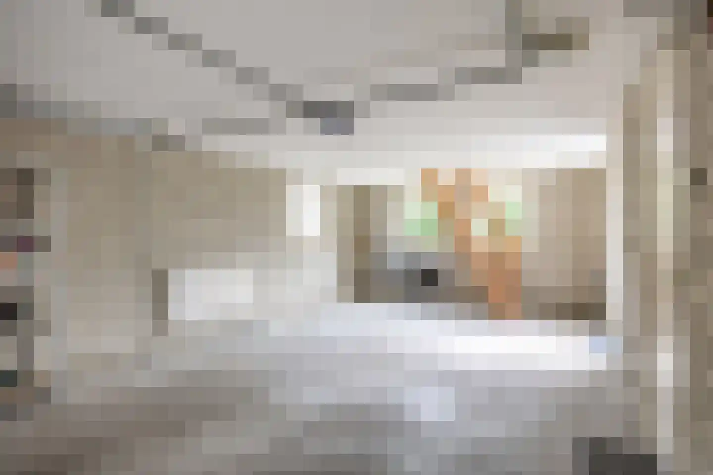 Valeriaan 12 Marum thumbnail 39