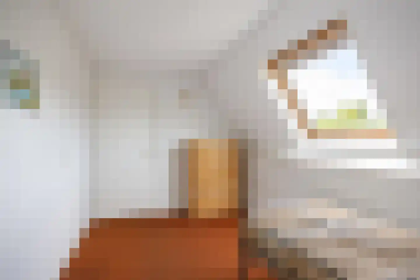 Valeriaan 12 Marum thumbnail 49