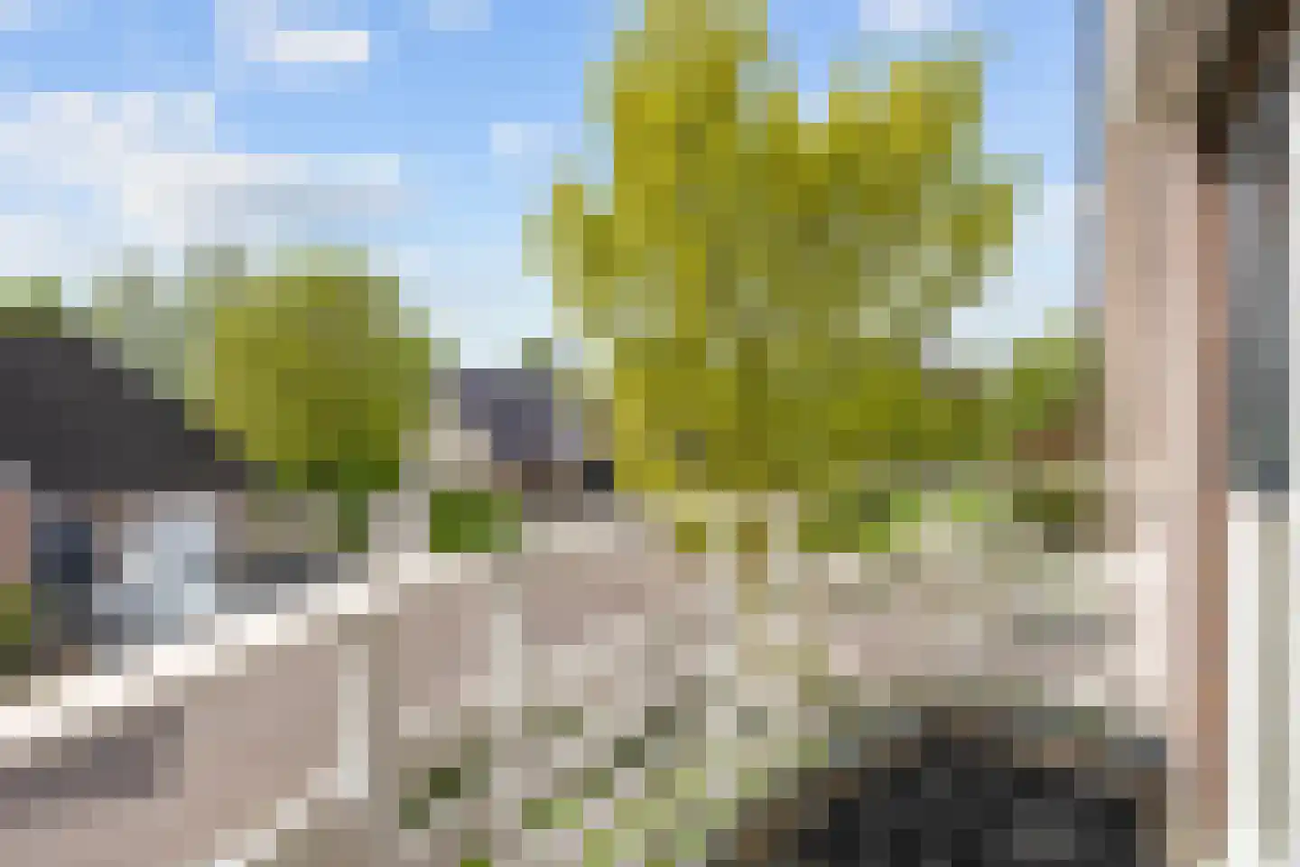 Valeriaan 12 Marum thumbnail 54