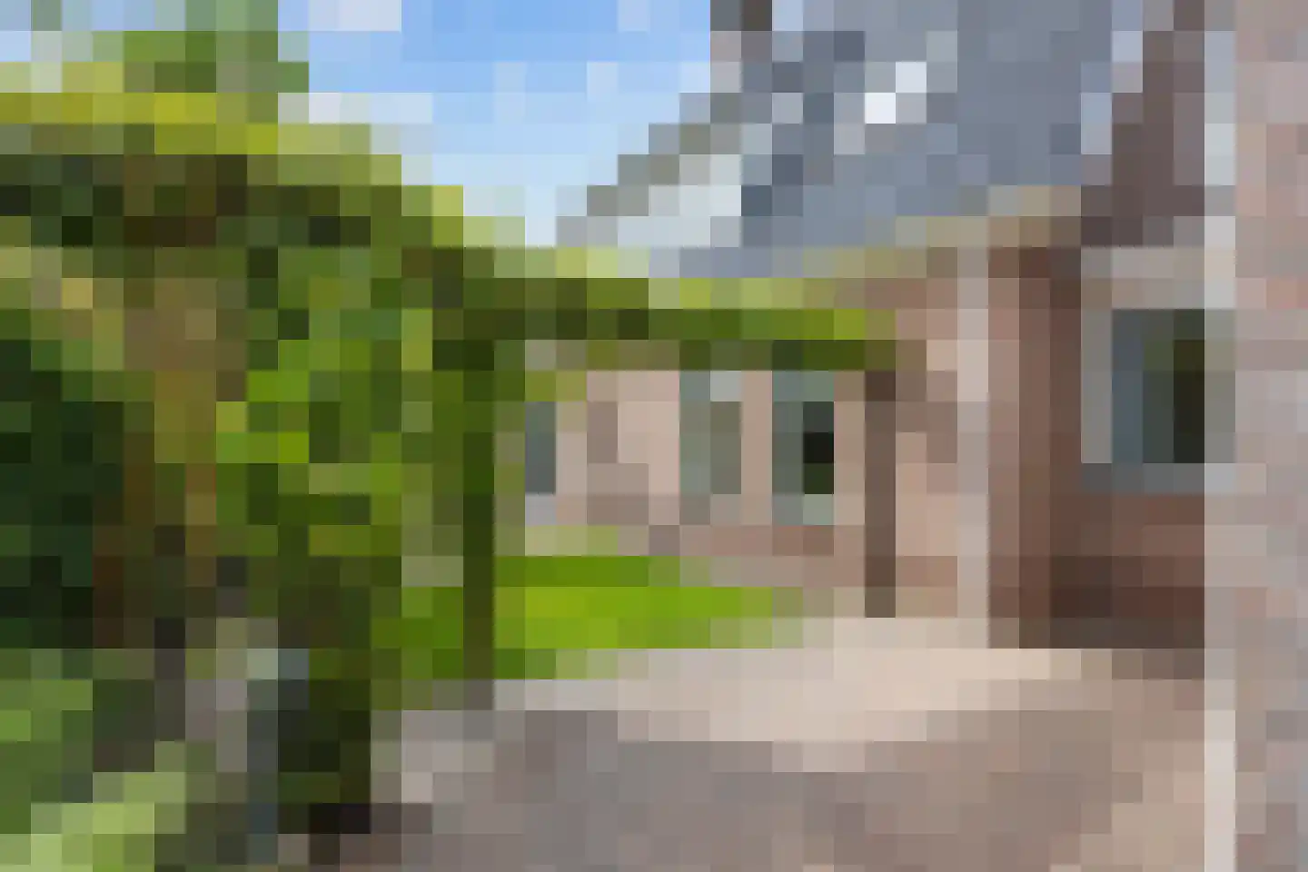 Valeriaan 12 Marum thumbnail 61