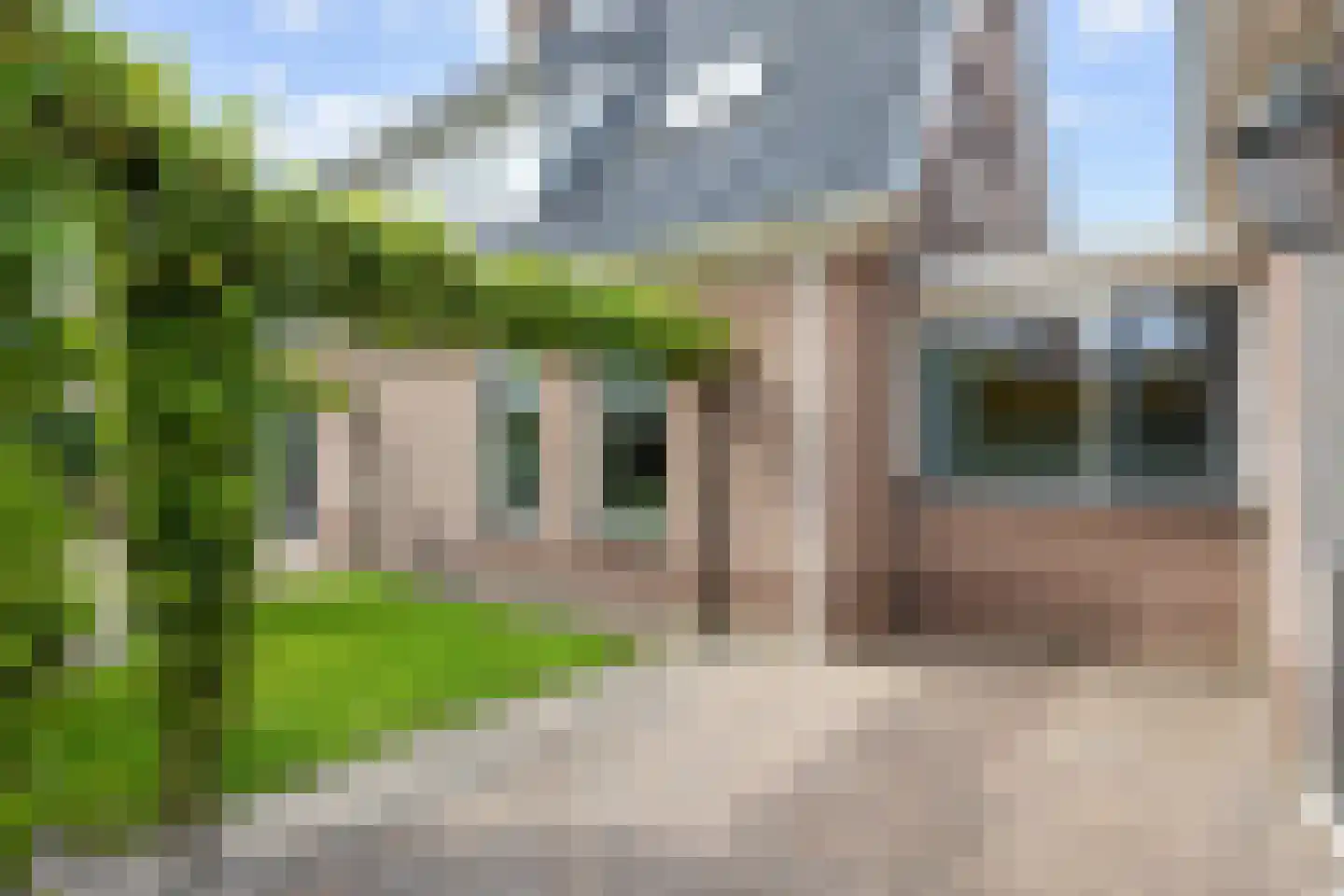 Valeriaan 12 Marum thumbnail 62