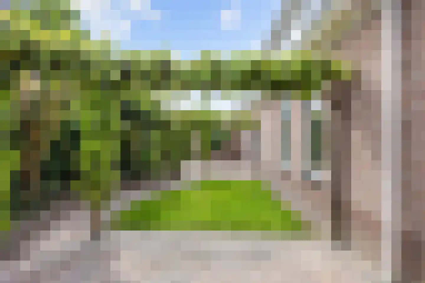 Valeriaan 12 Marum thumbnail 63