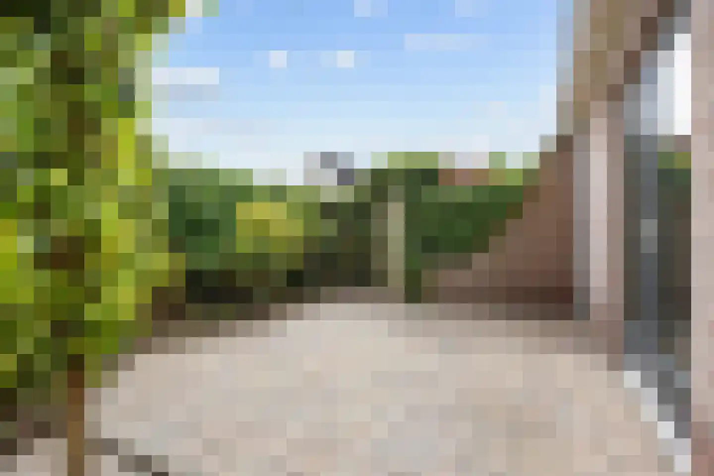 Valeriaan 12 Marum thumbnail 65