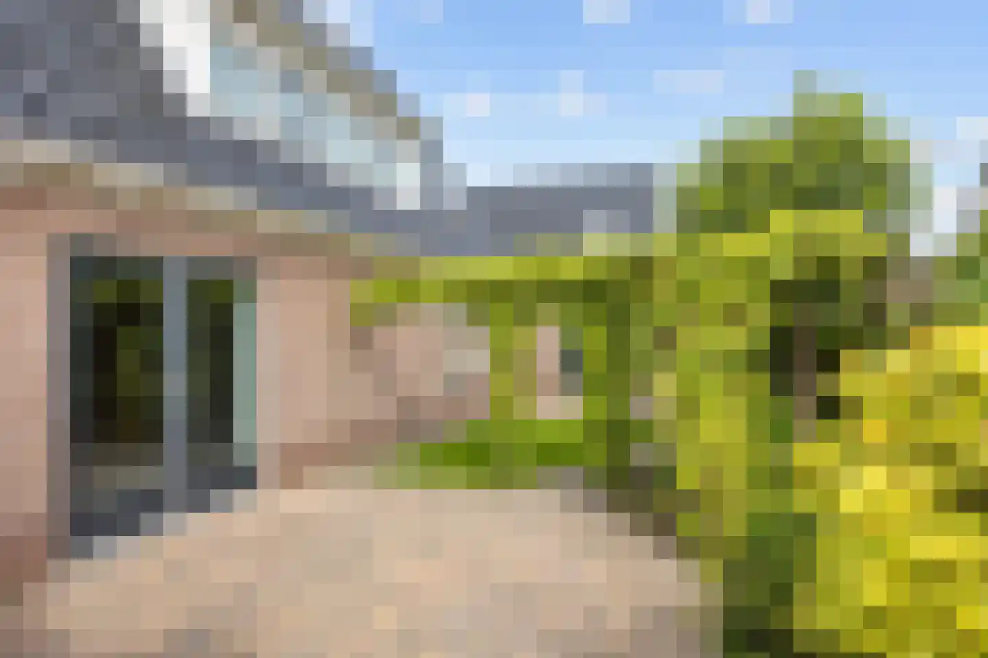 Valeriaan 12 Marum thumbnail 68