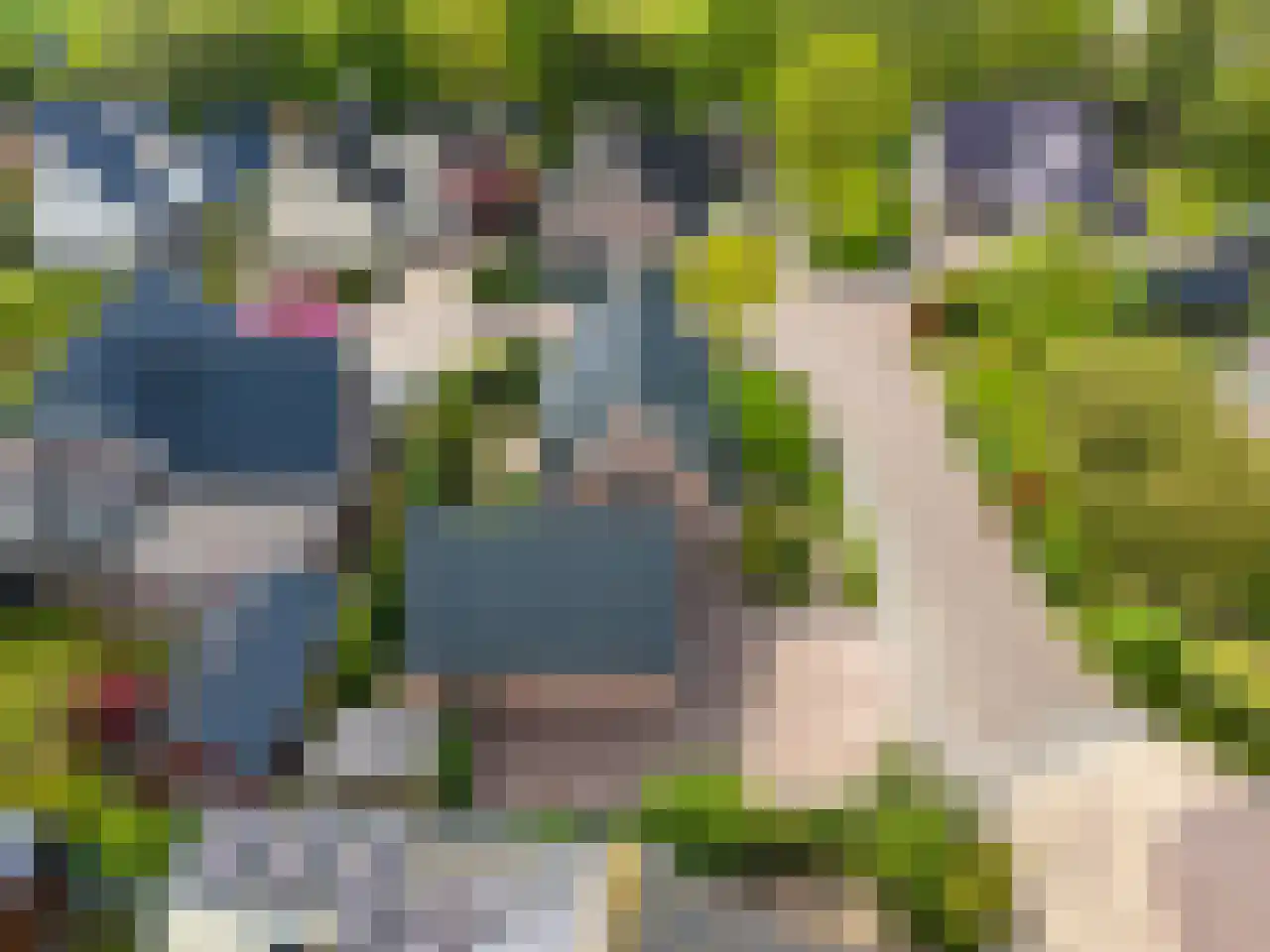 Valeriaan 12 Marum thumbnail 69