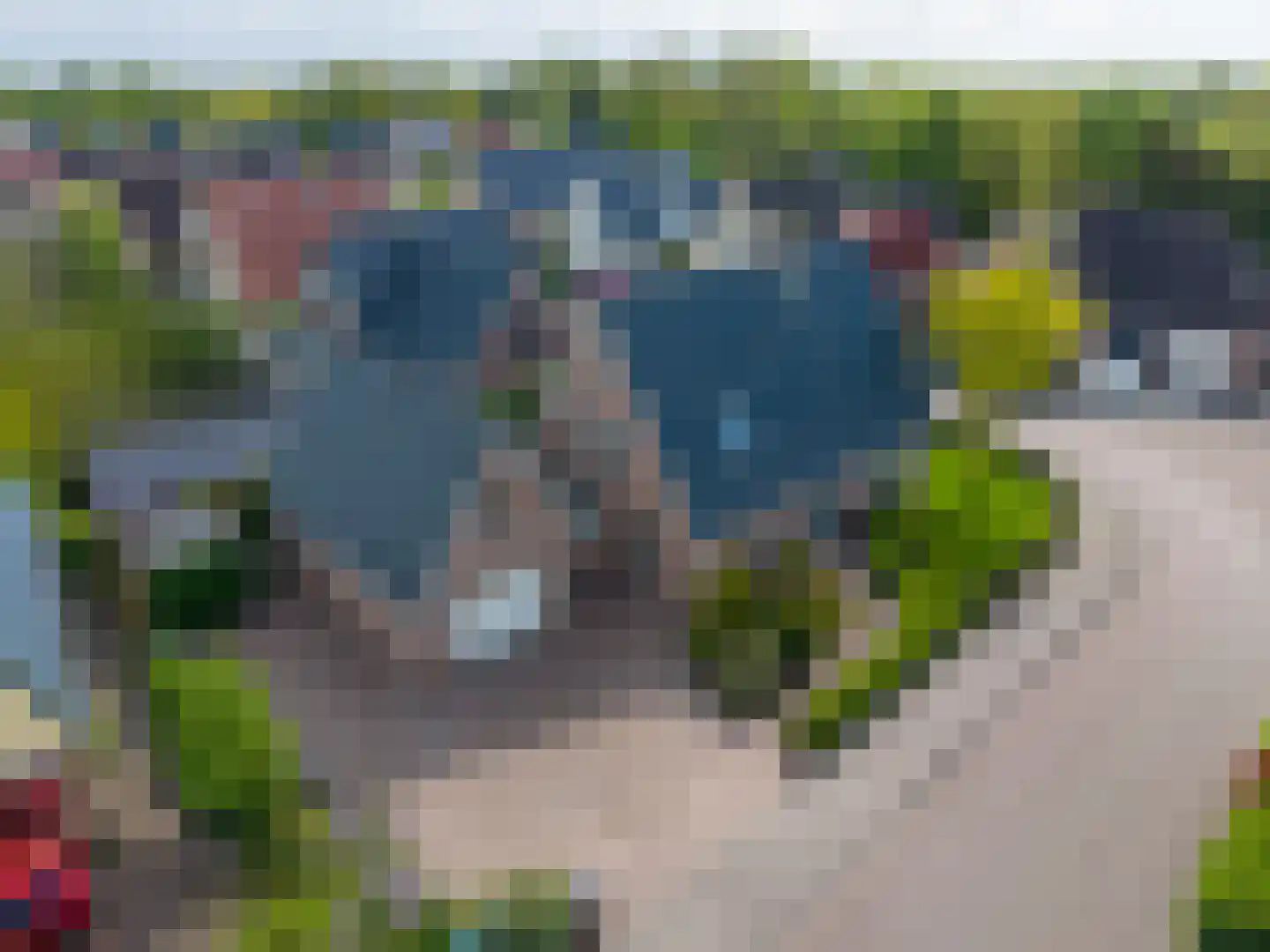 Valeriaan 12 Marum thumbnail 70