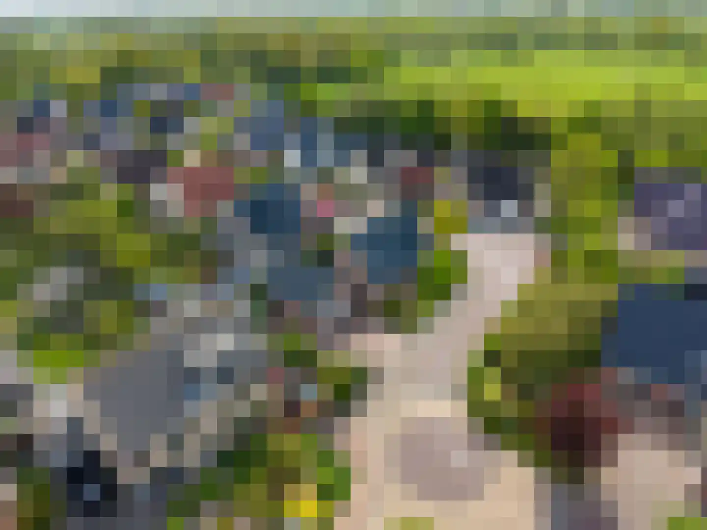Valeriaan 12 Marum thumbnail 72