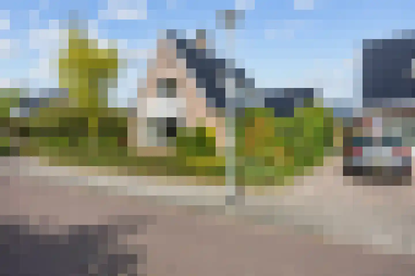 Valeriaan 12 Marum thumbnail 75