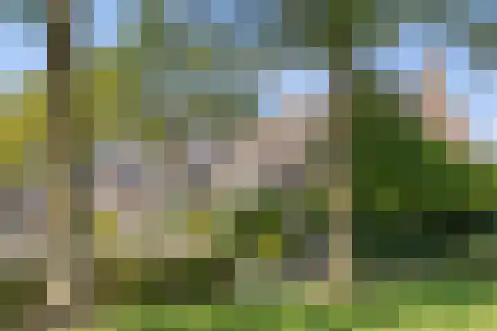 Valeriaan 14 IJsselstein thumbnail 10
