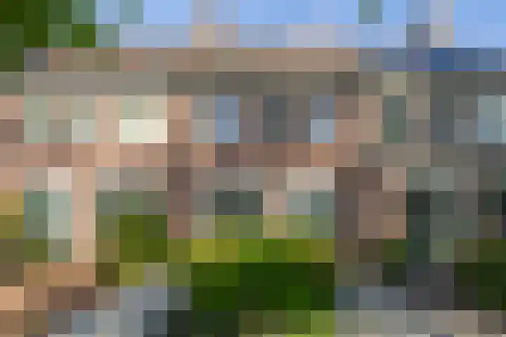Valeriaan 14 IJsselstein thumbnail 12