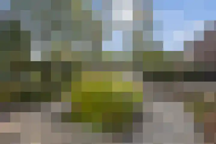 Valeriaan 14 IJsselstein thumbnail 14