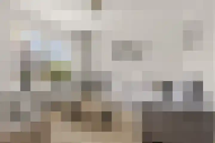 Valeriaan 14 IJsselstein thumbnail 17