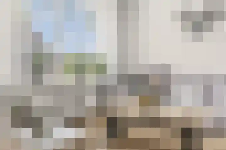 Valeriaan 14 IJsselstein thumbnail 19