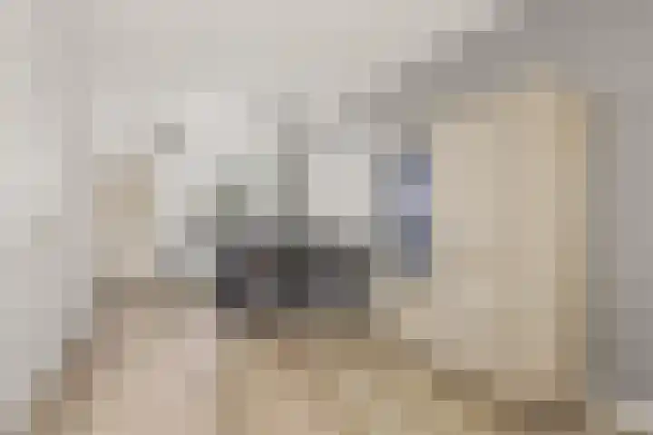 Valeriaan 14 IJsselstein thumbnail 22