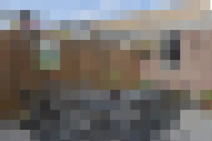Valeriaan 14 IJsselstein thumbnail 28
