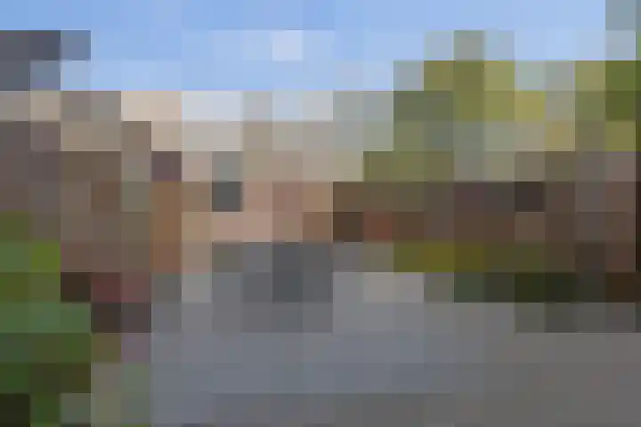 Valeriaan 14 IJsselstein thumbnail 29