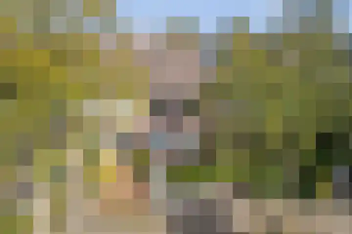 Valeriaan 14 IJsselstein thumbnail 5