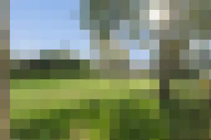 Valeriaan 14 IJsselstein thumbnail 51