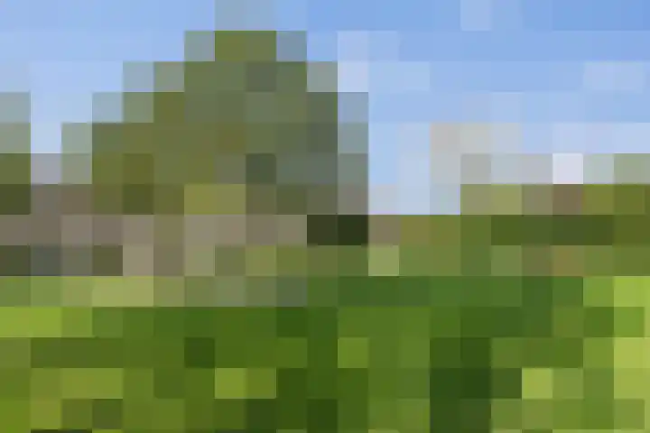 Valeriaan 14 IJsselstein thumbnail 52