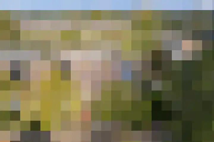 Valeriaan 14 IJsselstein thumbnail 6