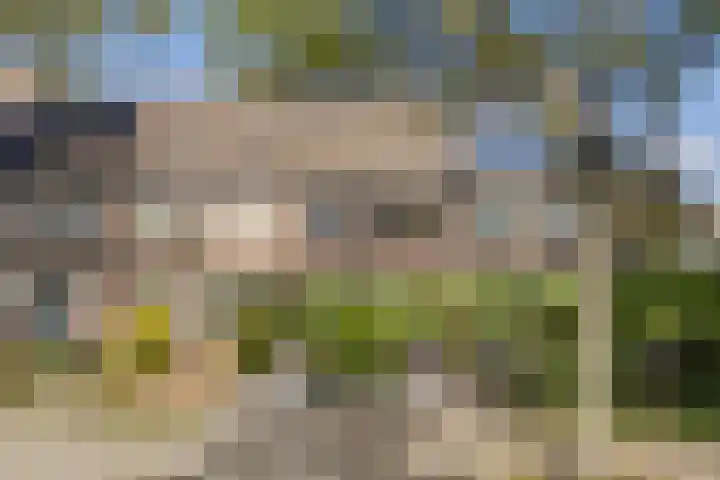 Valeriaan 14 IJsselstein thumbnail 9