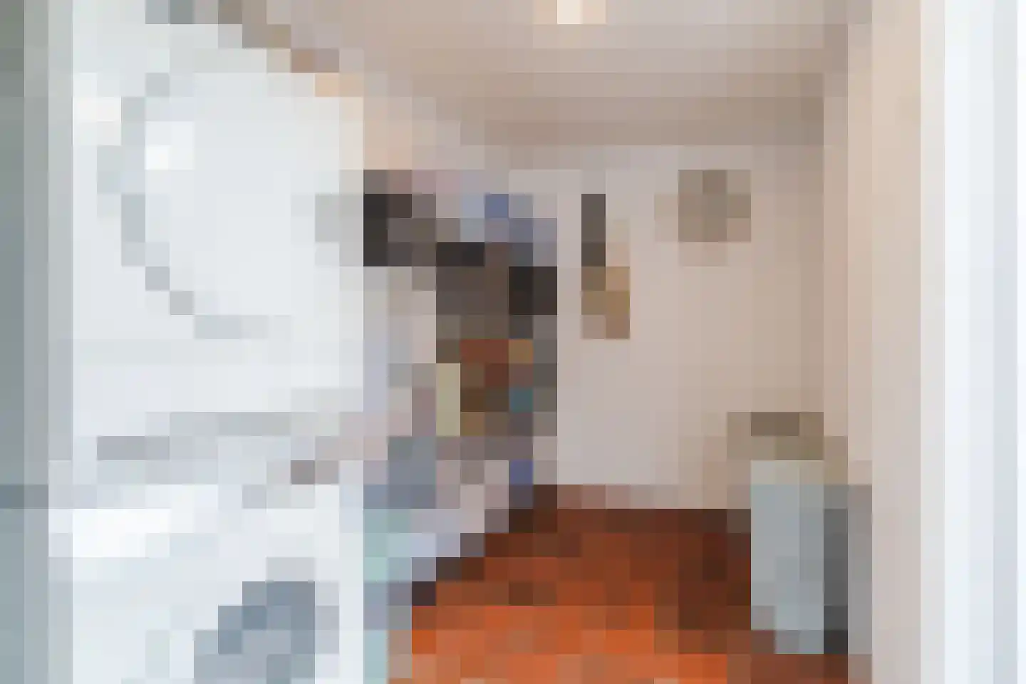 Valeriaan 15 Goirle thumbnail 13