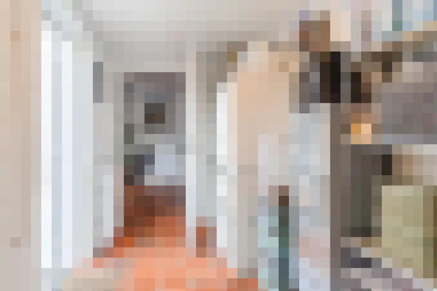 Valeriaan 15 Goirle thumbnail 14