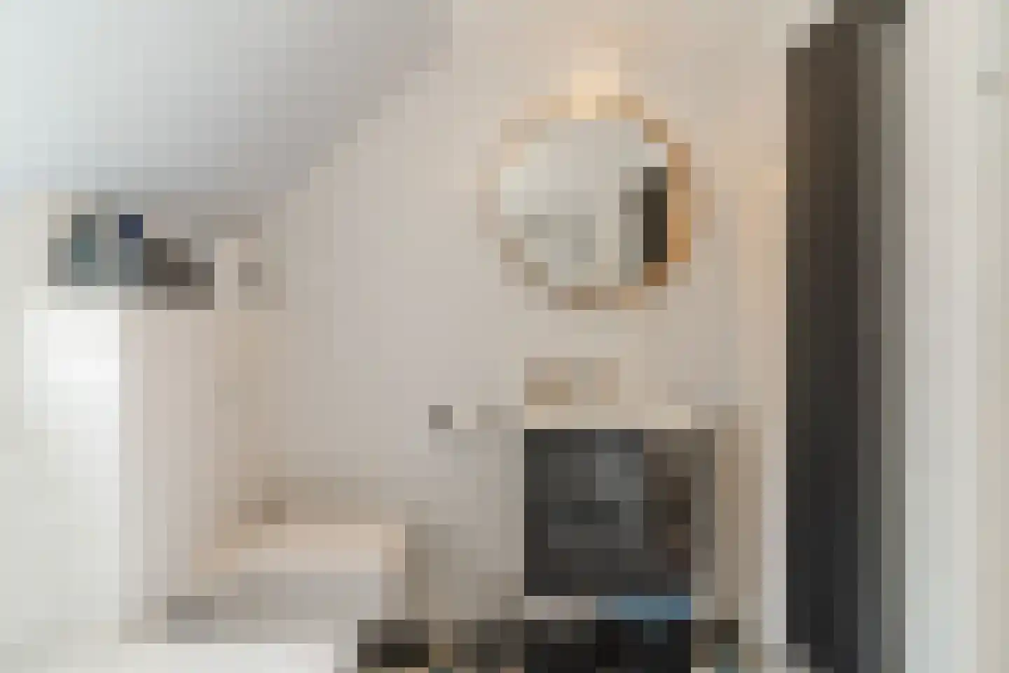 Valeriaan 15 Goirle thumbnail 29