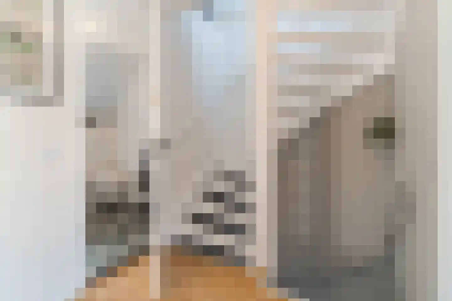 Valeriaan 15 Goirle thumbnail 30