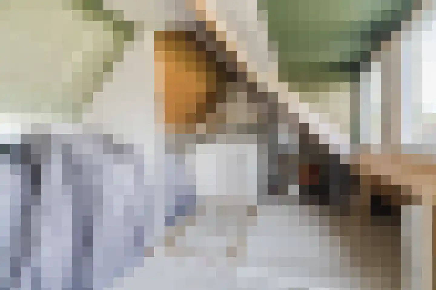 Valeriaan 15 Goirle thumbnail 34