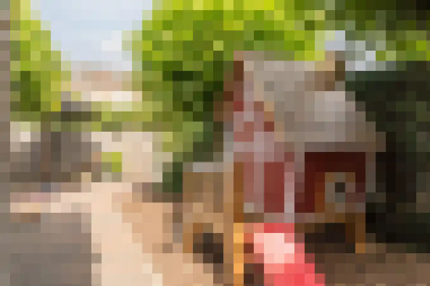 Valeriaan 15 Goirle thumbnail 36