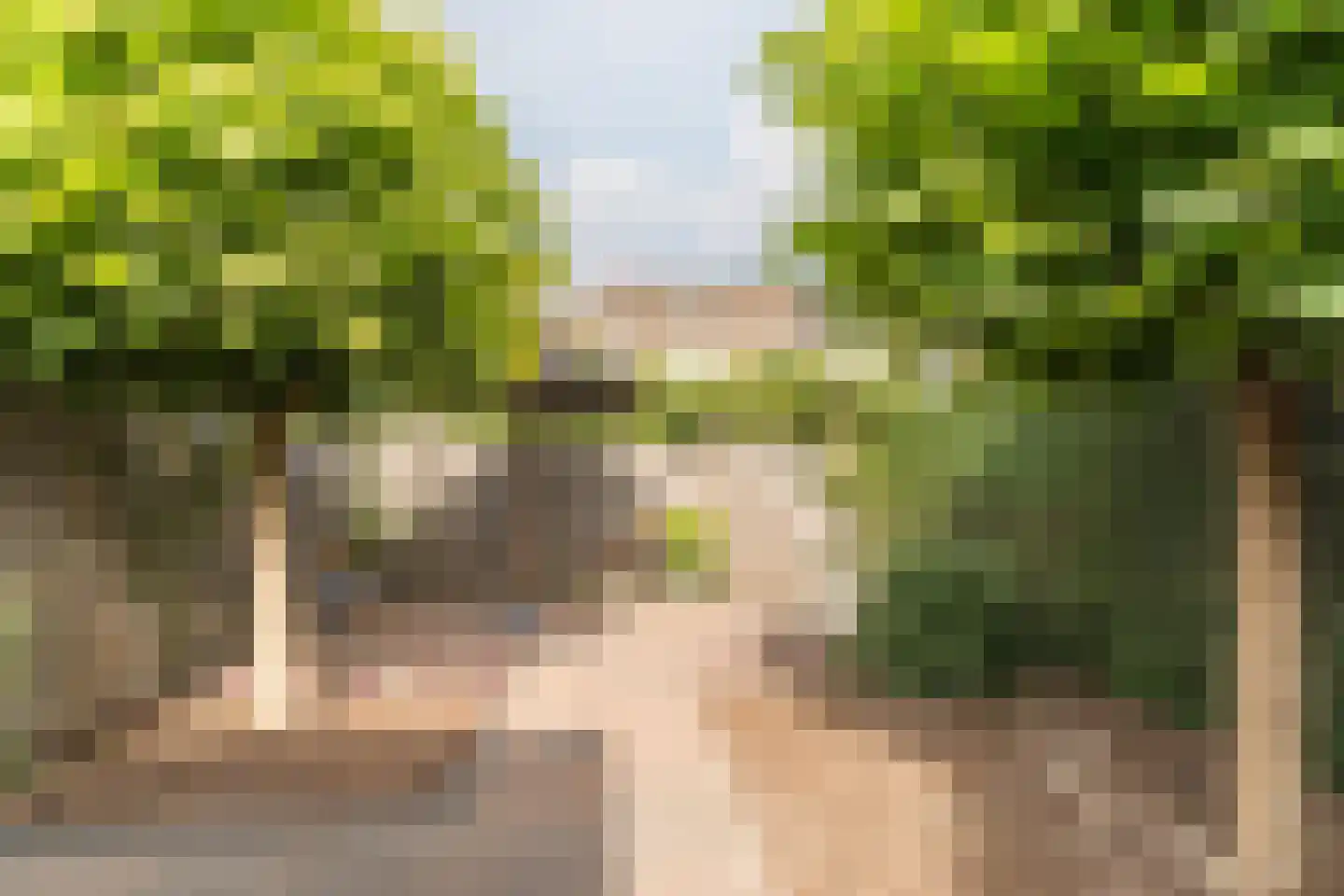Valeriaan 15 Goirle thumbnail 37