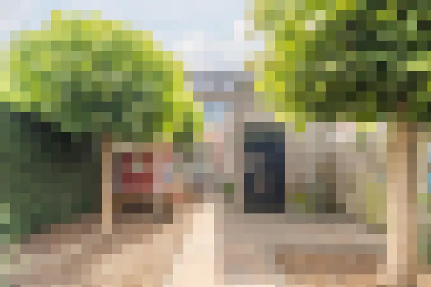 Valeriaan 15 Goirle thumbnail 39