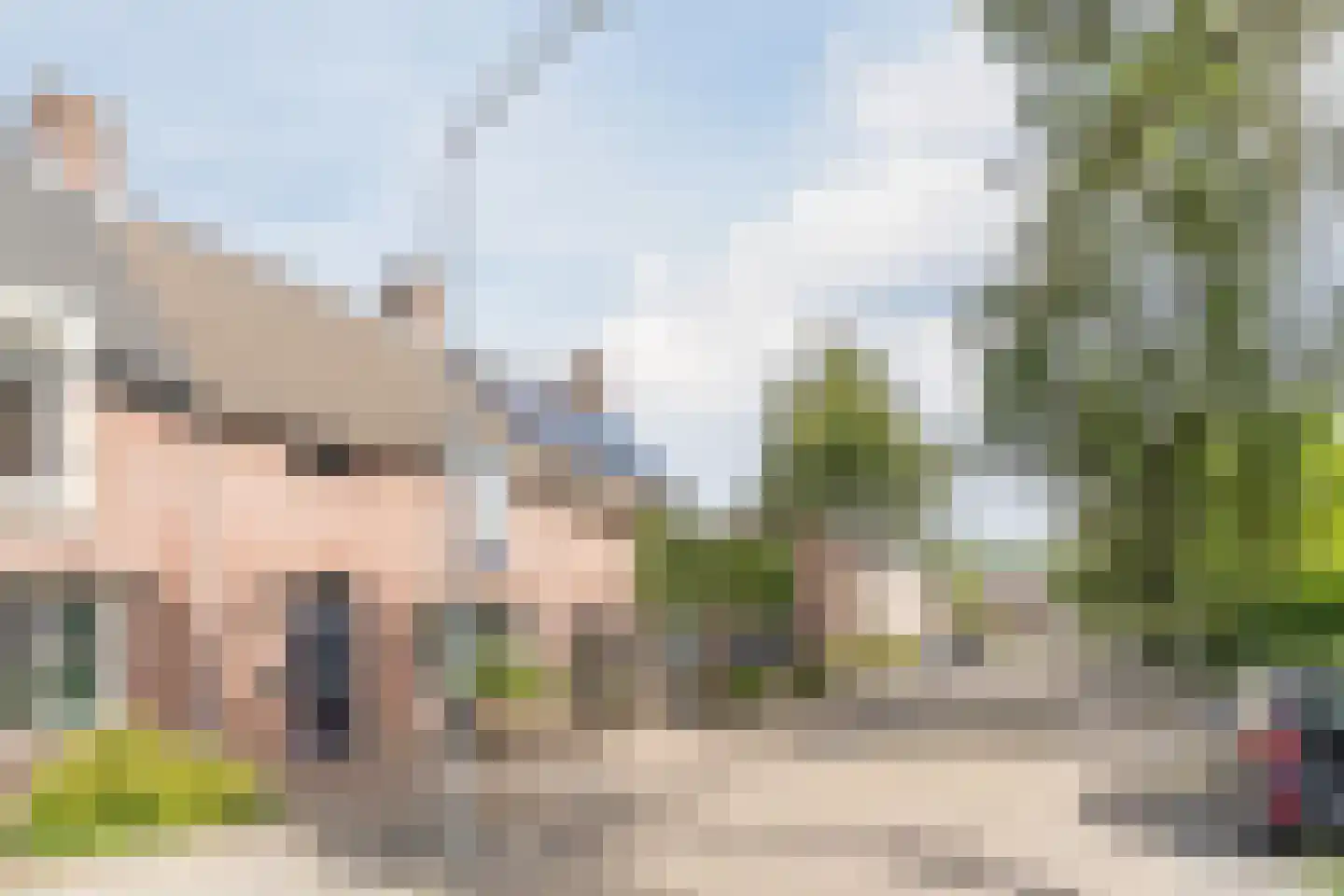 Valeriaan 15 Goirle thumbnail 42