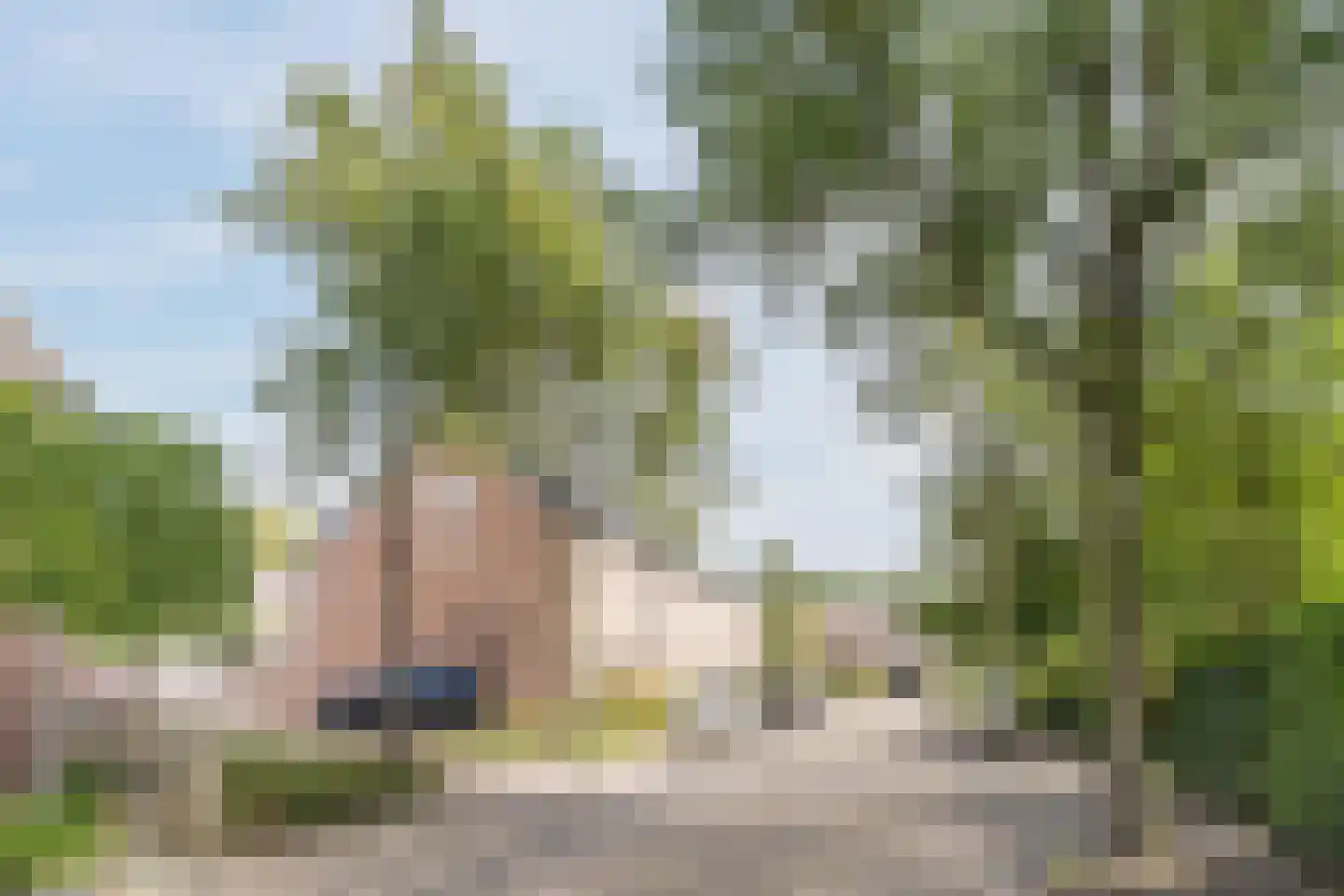 Valeriaan 15 Goirle thumbnail 44