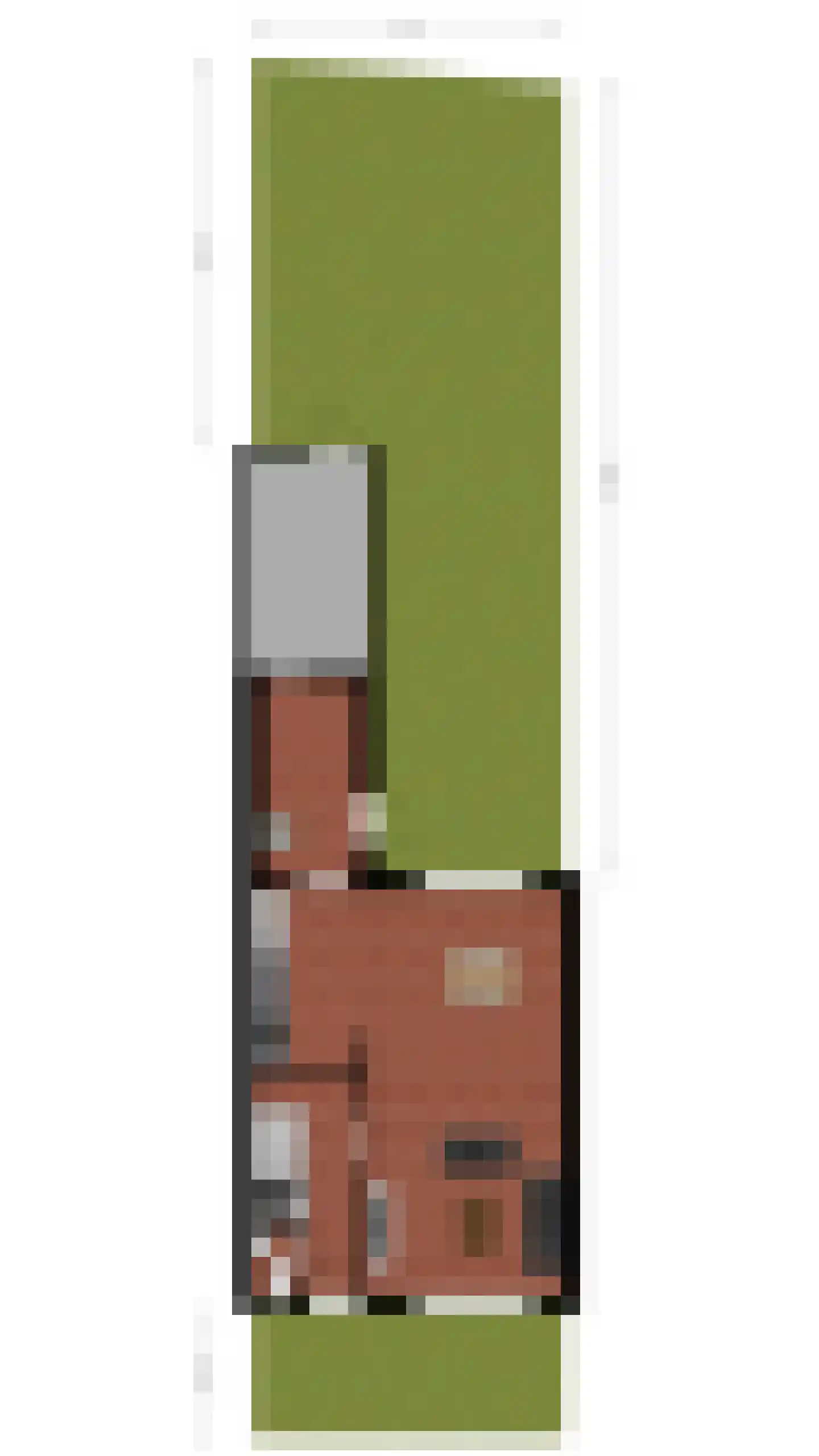 Valeriaan 15 Goirle thumbnail 48