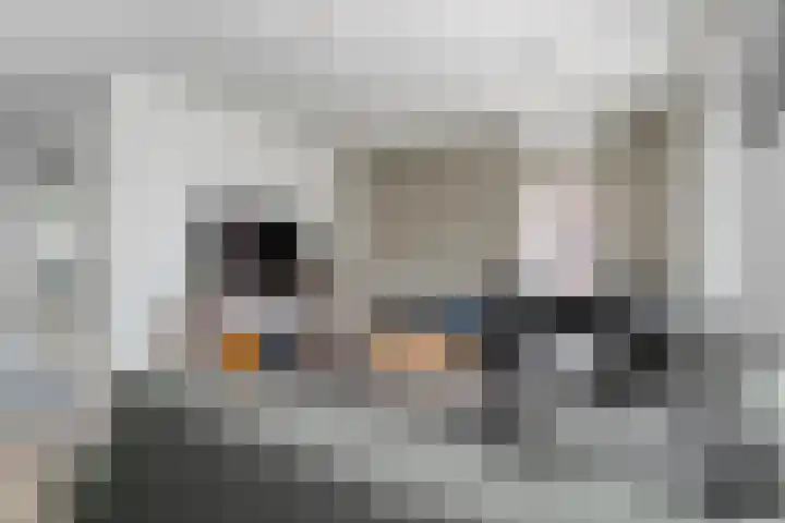 Valeriaan 15 Westerhaar-Vriezenveensewijk thumbnail 10