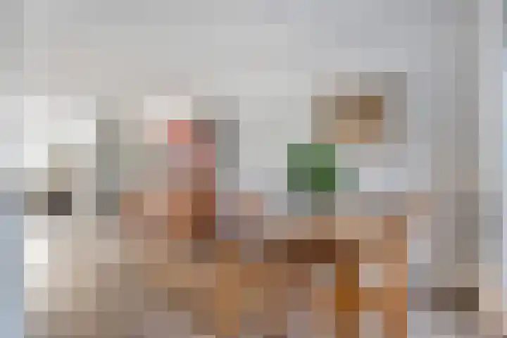 Valeriaan 15 Westerhaar-Vriezenveensewijk thumbnail 14