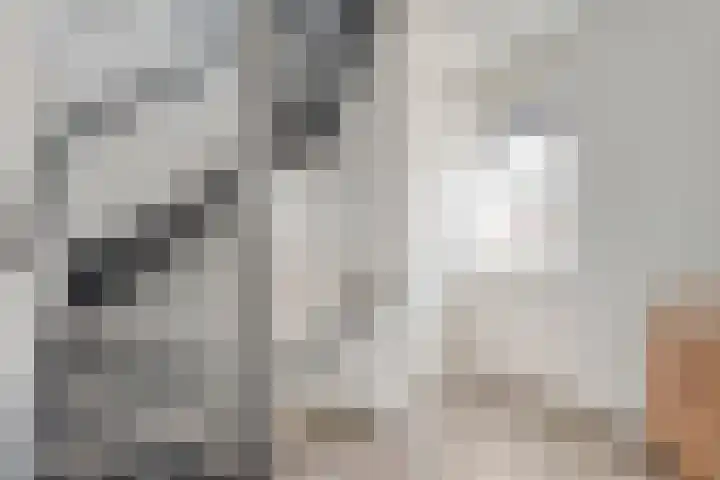 Valeriaan 15 Westerhaar-Vriezenveensewijk thumbnail 19