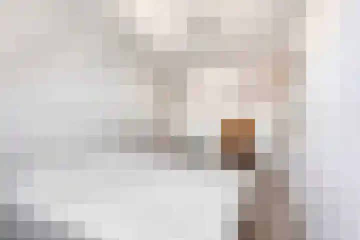 Valeriaan 15 Westerhaar-Vriezenveensewijk thumbnail 24