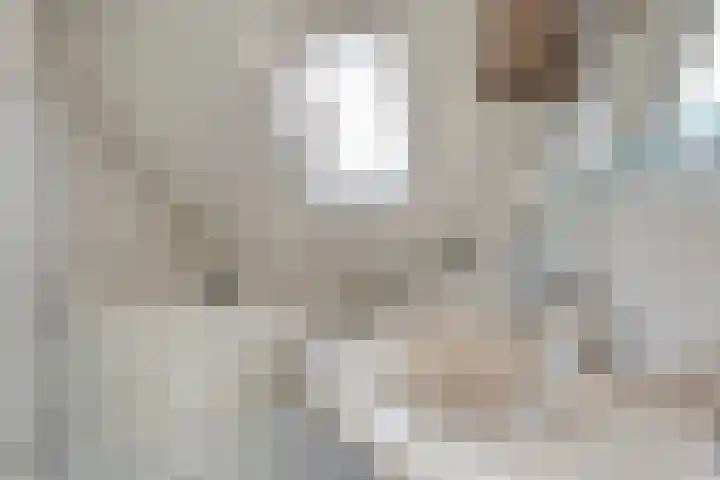 Valeriaan 15 Westerhaar-Vriezenveensewijk thumbnail 25