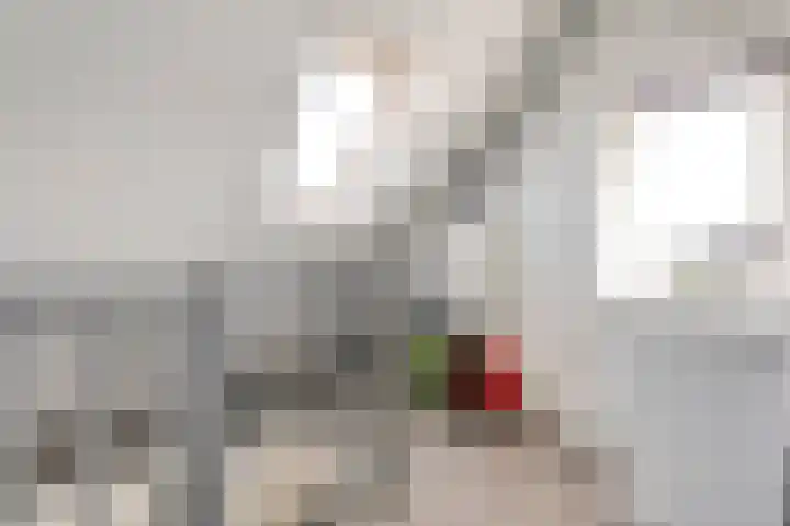 Valeriaan 15 Westerhaar-Vriezenveensewijk thumbnail 27