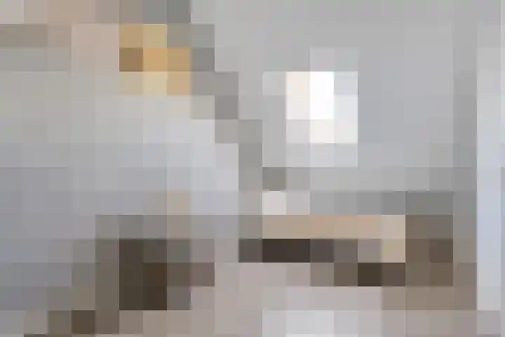 Valeriaan 15 Westerhaar-Vriezenveensewijk thumbnail 29