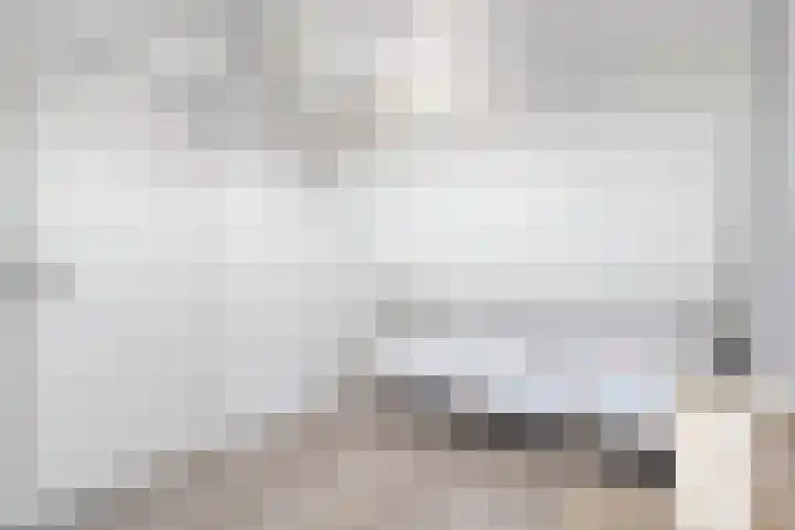 Valeriaan 15 Westerhaar-Vriezenveensewijk thumbnail 30