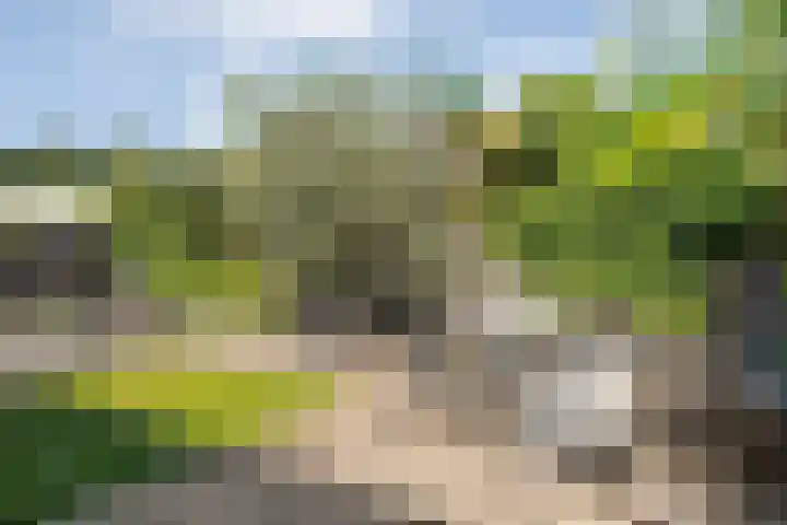 Valeriaan 15 Westerhaar-Vriezenveensewijk thumbnail 33