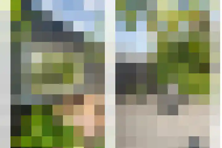 Valeriaan 15 Westerhaar-Vriezenveensewijk thumbnail 35