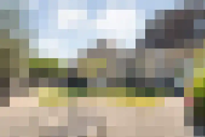 Valeriaan 15 Westerhaar-Vriezenveensewijk thumbnail 36