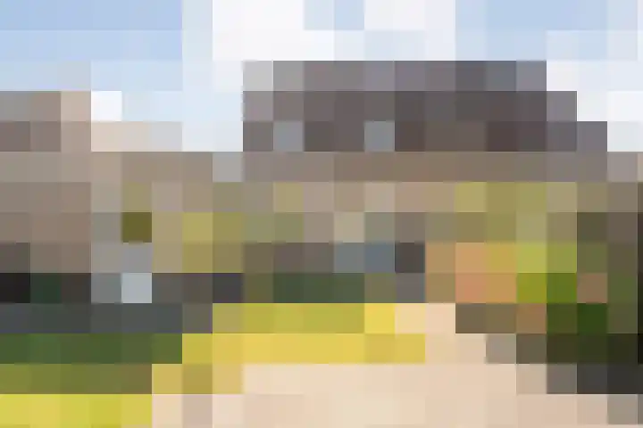Valeriaan 15 Westerhaar-Vriezenveensewijk thumbnail 37