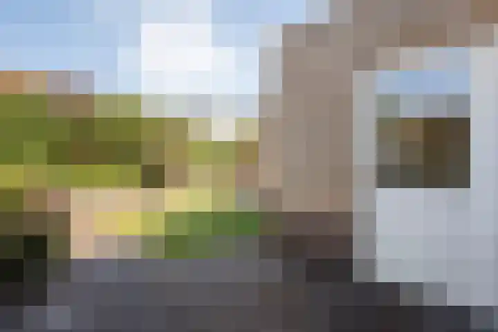Valeriaan 15 Westerhaar-Vriezenveensewijk thumbnail 38