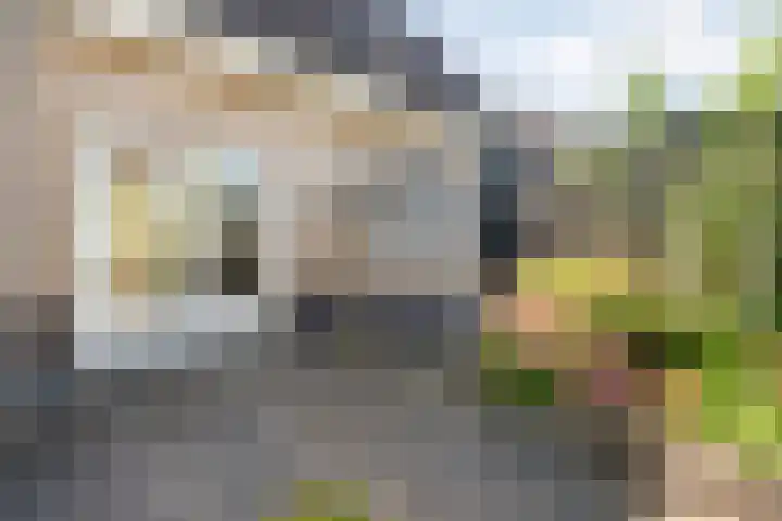 Valeriaan 15 Westerhaar-Vriezenveensewijk thumbnail 39